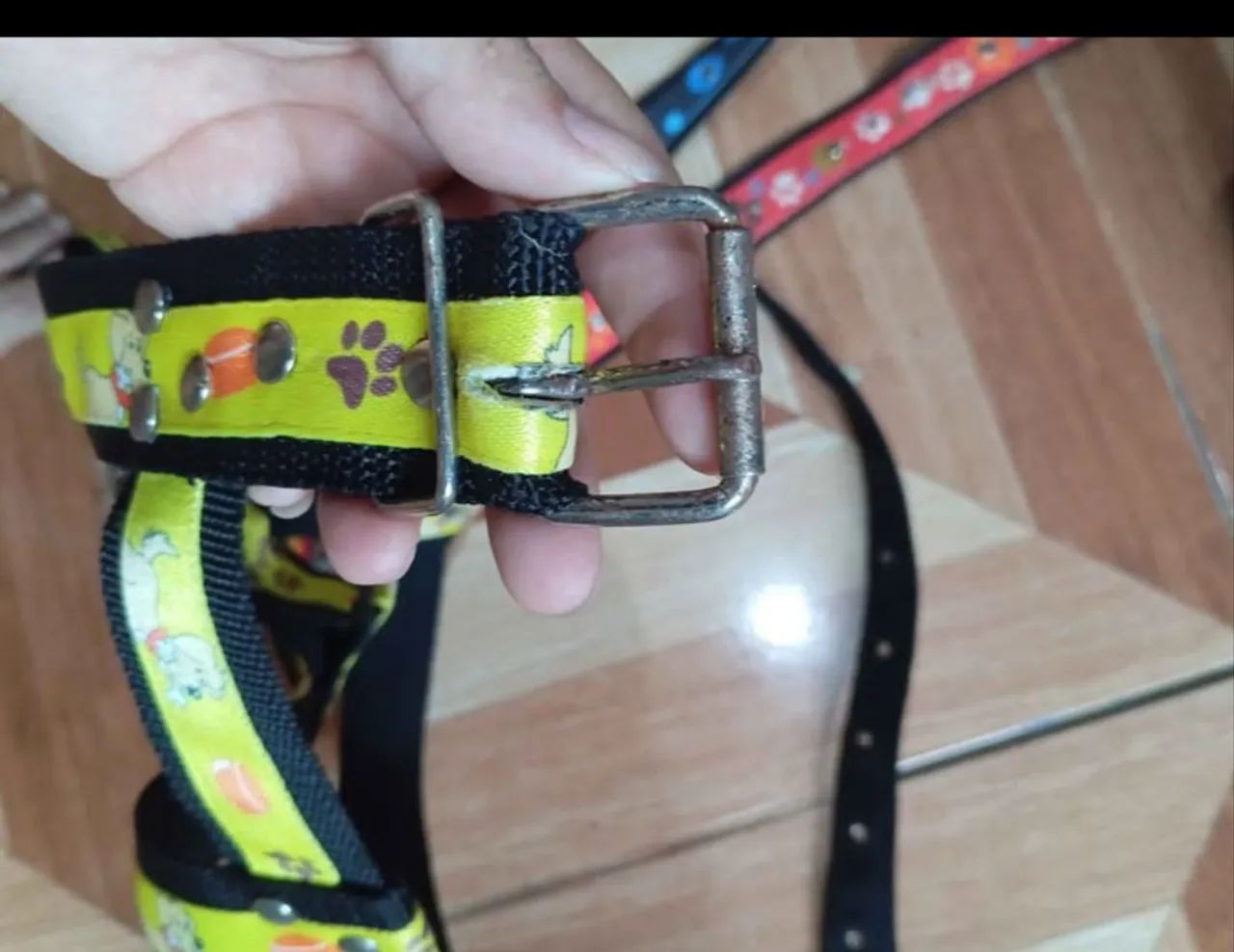 Coleira de cachorro  - Foto 2