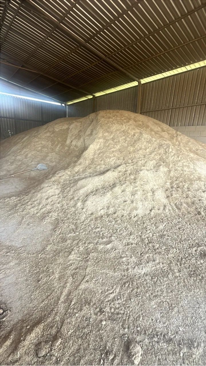 Cevada seca - Foto 2