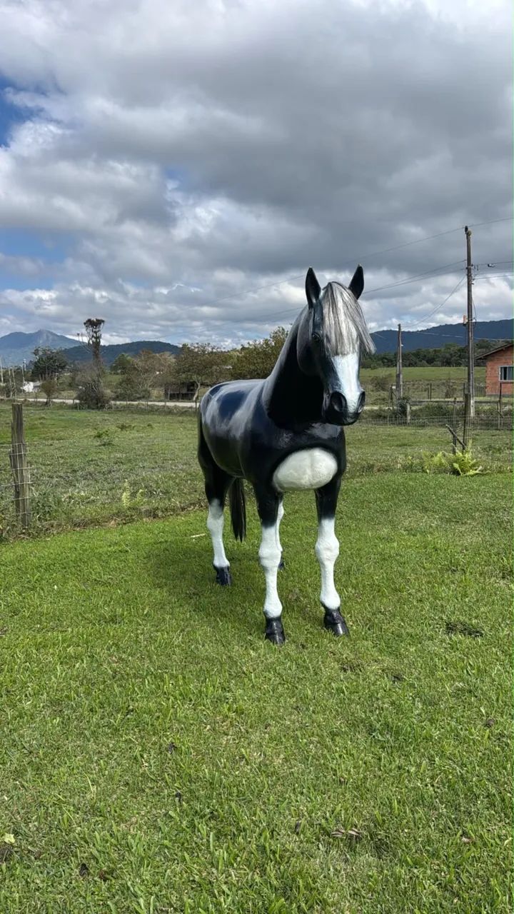 Cavalo de fibra  - Foto 5