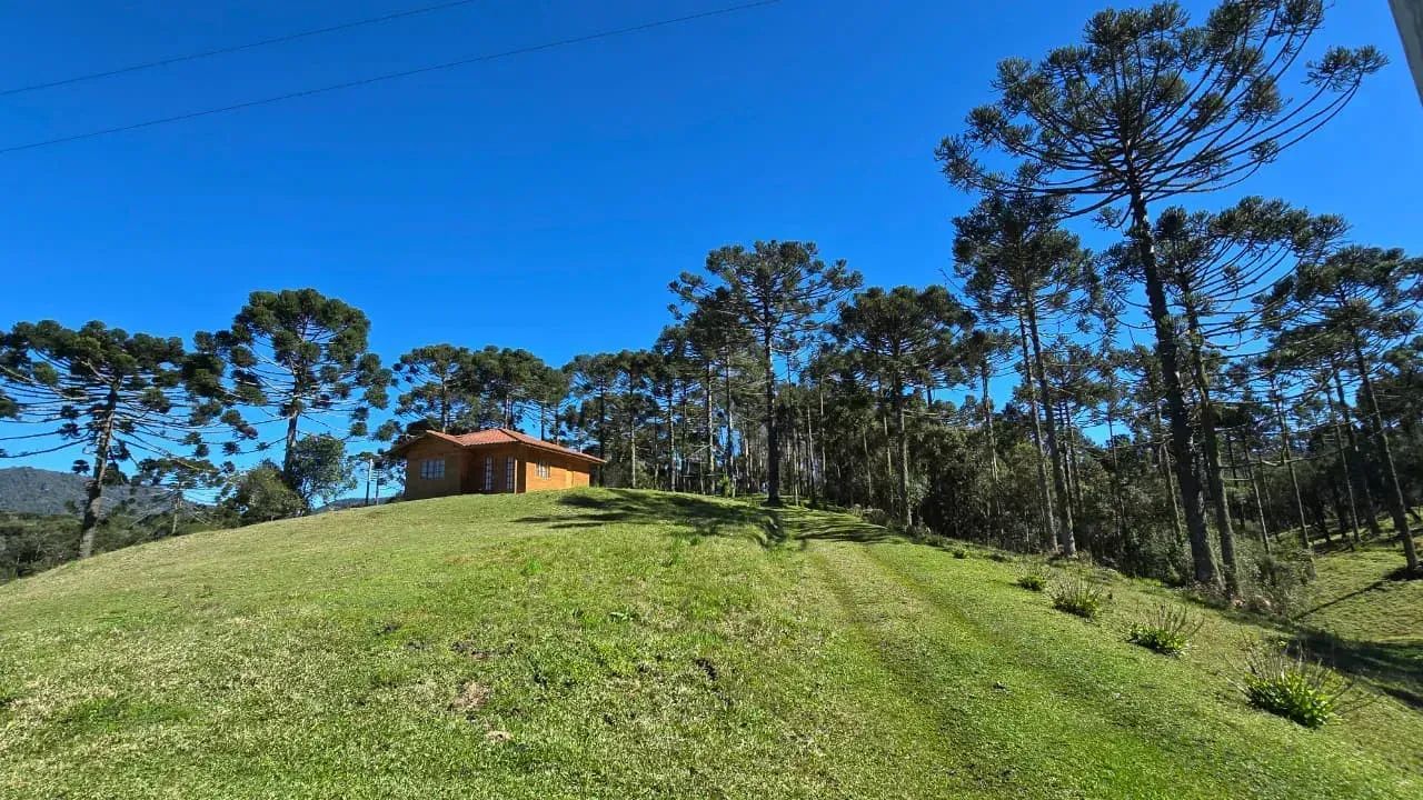 Terreno com casa ao lado da cidade - Foto 4
