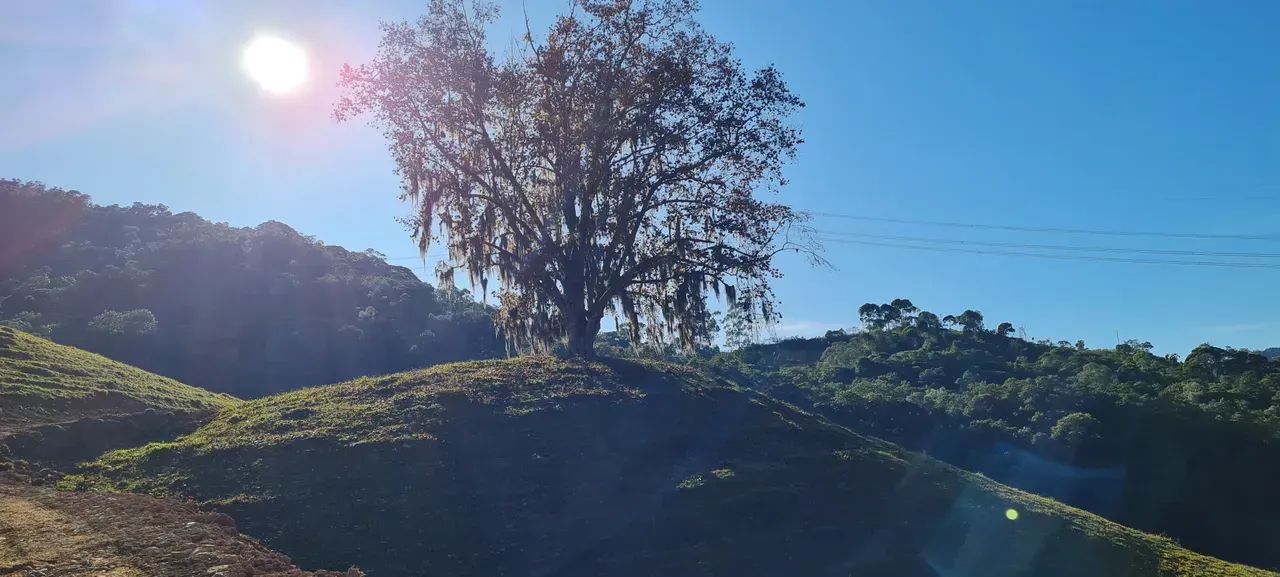 Sitio com linda vista em Águas Mornas - SC - Foto 4