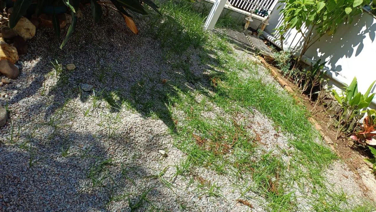 Precisando dar um trato no terreno ou no jardim? ? - Foto 4