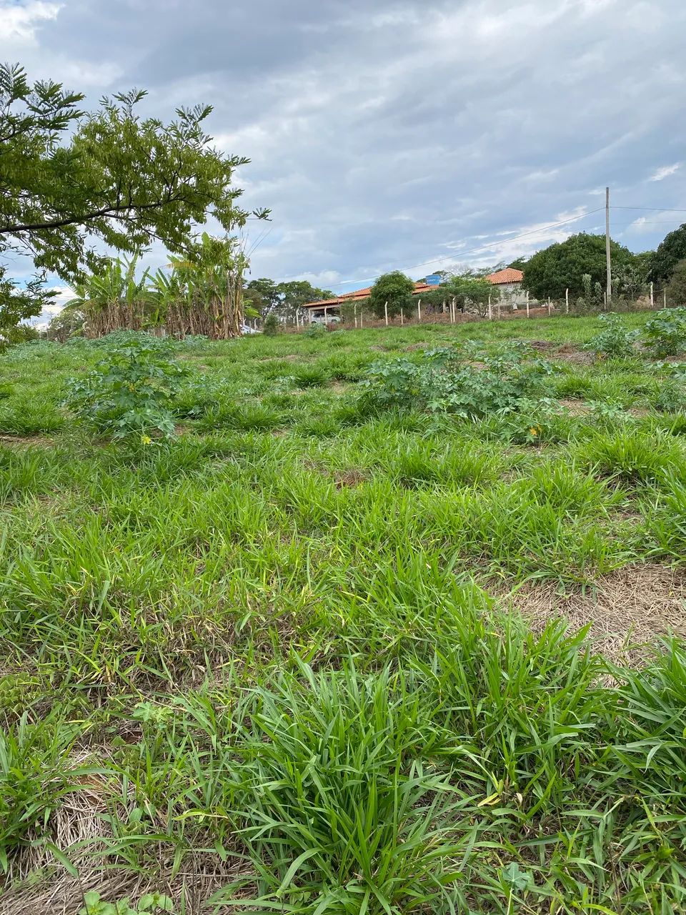 Terreno de 1000m2 - Foto 2