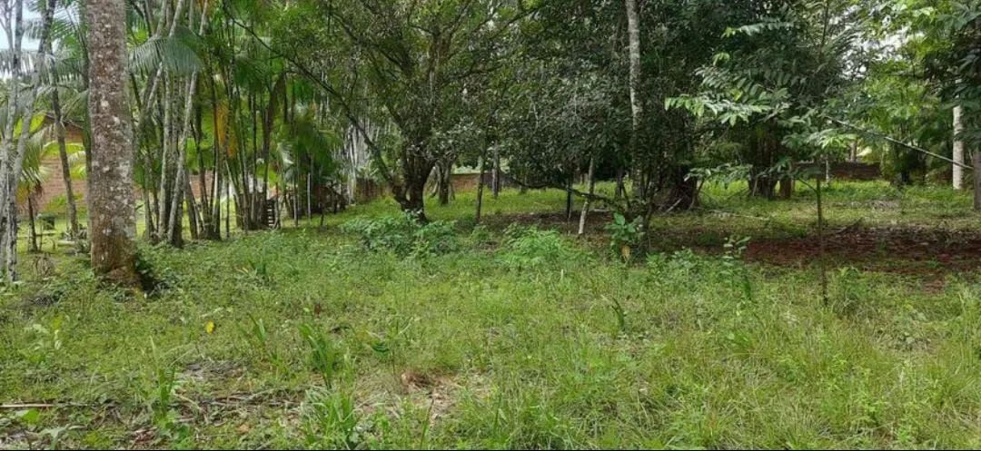 Vendo terreno em Marituba  - Foto 4