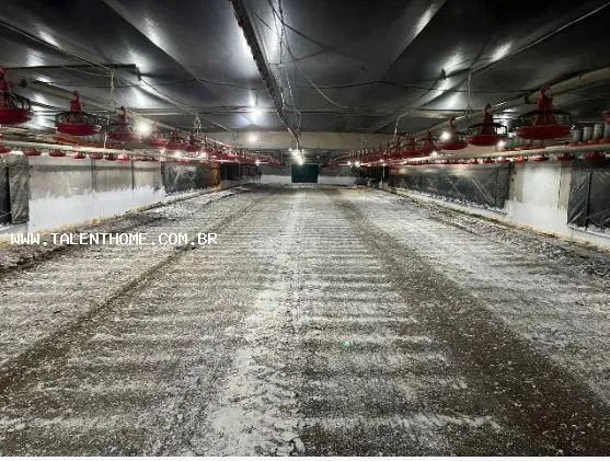Imóvel Comercial para Venda em Roncador, RURAL - Foto 2