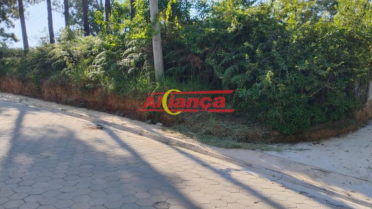Excelente terreno de esquina com 1.317 m² - Foto 2