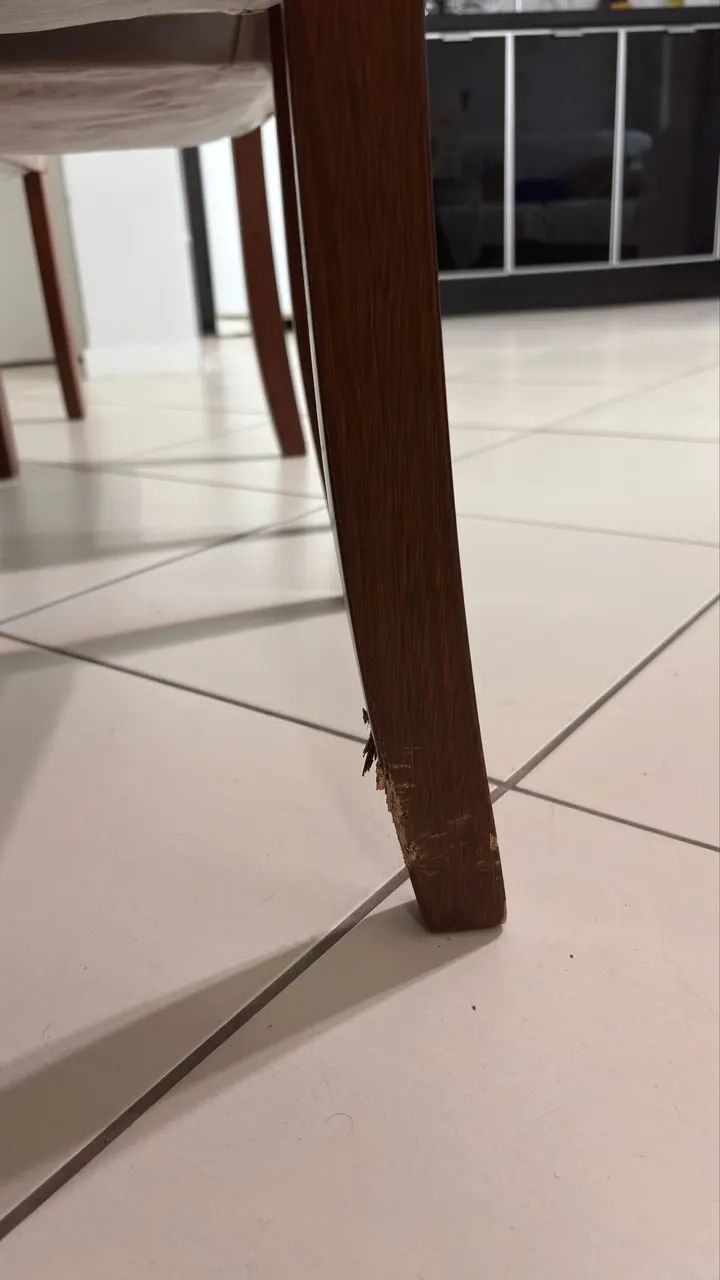 Vendo conjunto mesa de jantar  - Foto 2
