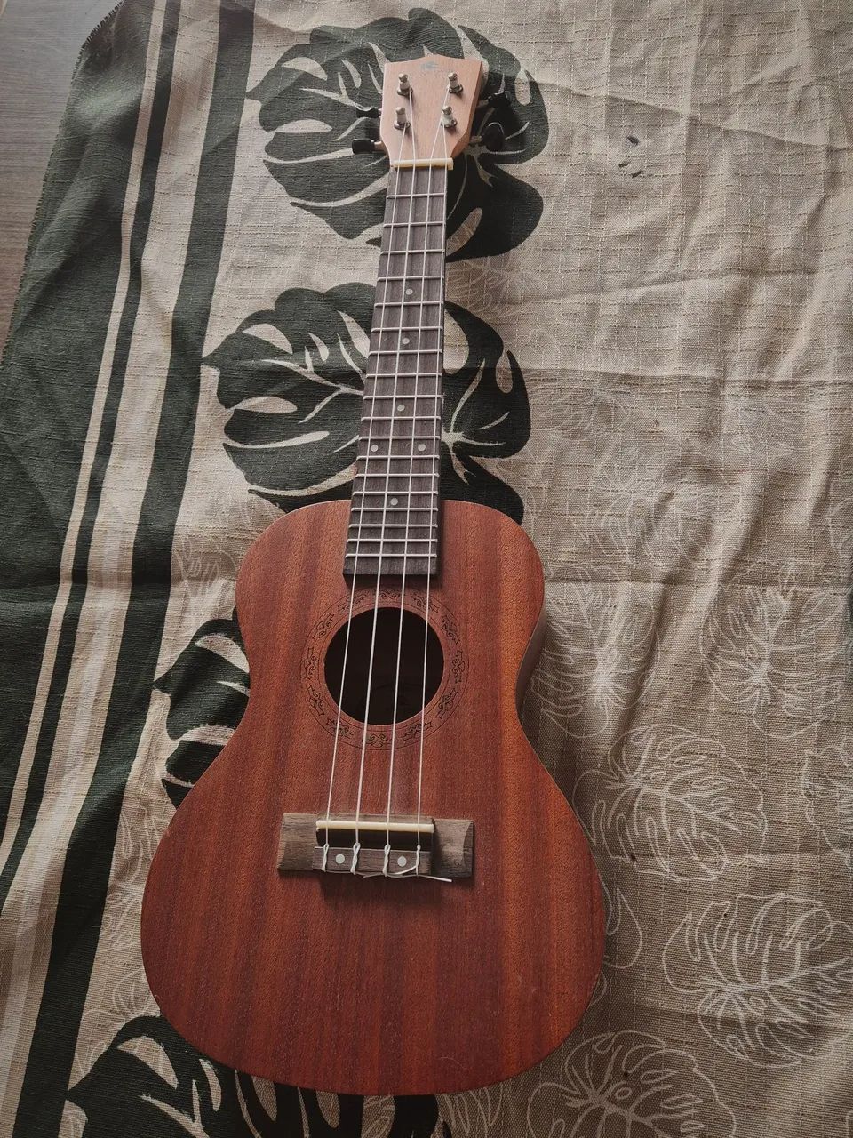 Ukulele concert acústico 23k 