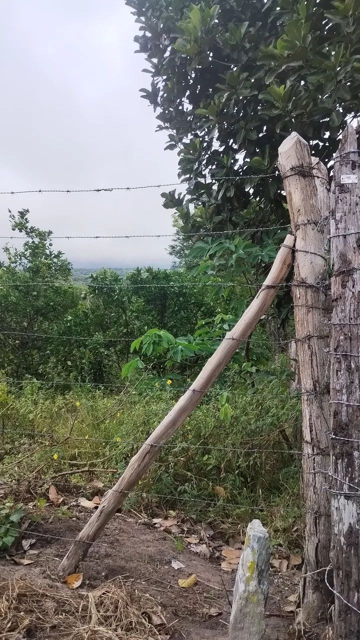 Sitio em Lagoa Seca para venda 