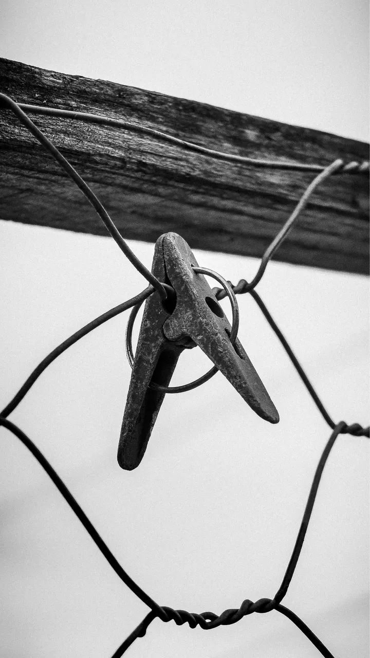 Fujifilm x10  - Foto 3