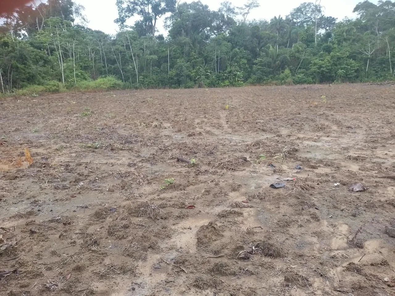 Sítio- Vila união - Foto 2