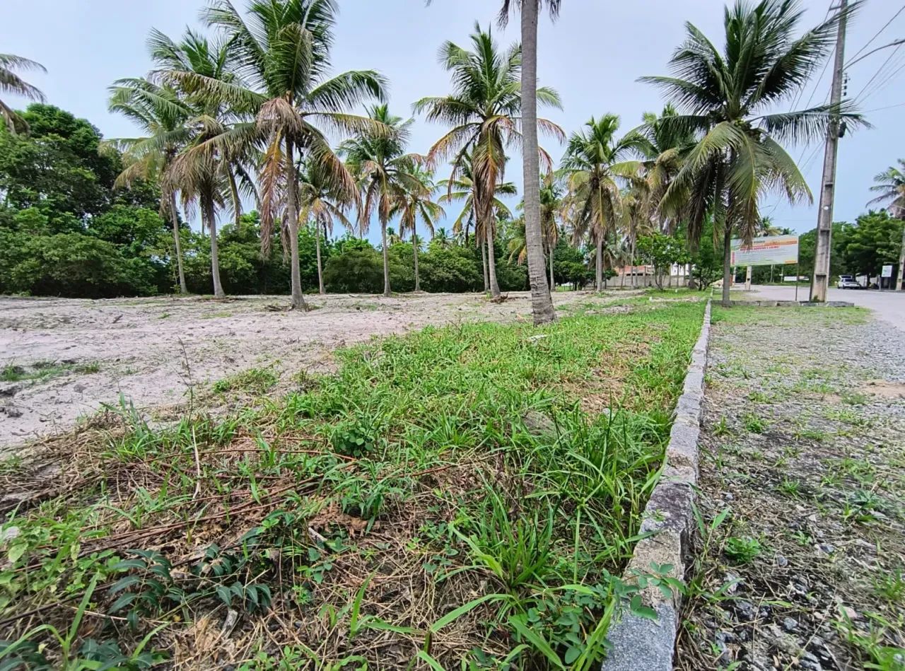 Super oportunidade - Porto de Galinhas - Foto 4