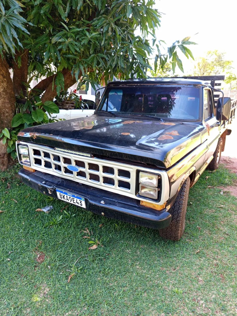 Ford F-1000 XL Diesel Turbo 1983