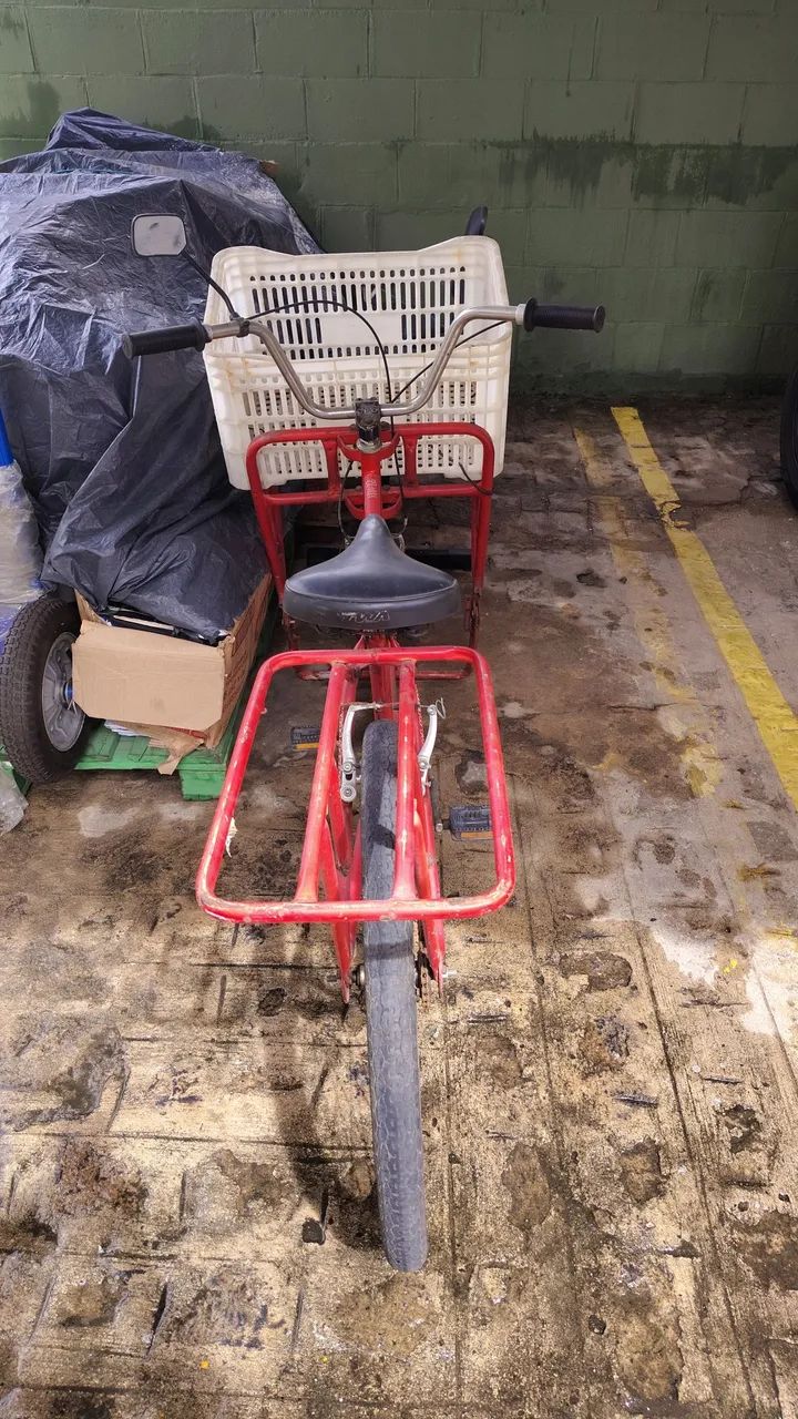 Bicicleta de carga
