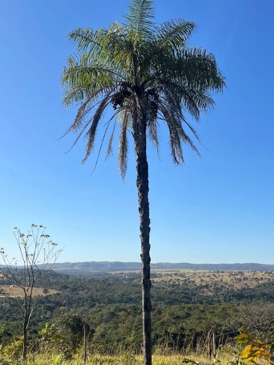 Chácaras 1.500m², R$60mil, Parcelado, Linda Vista, Energia, Cercada, Aragoiânia - Foto 2