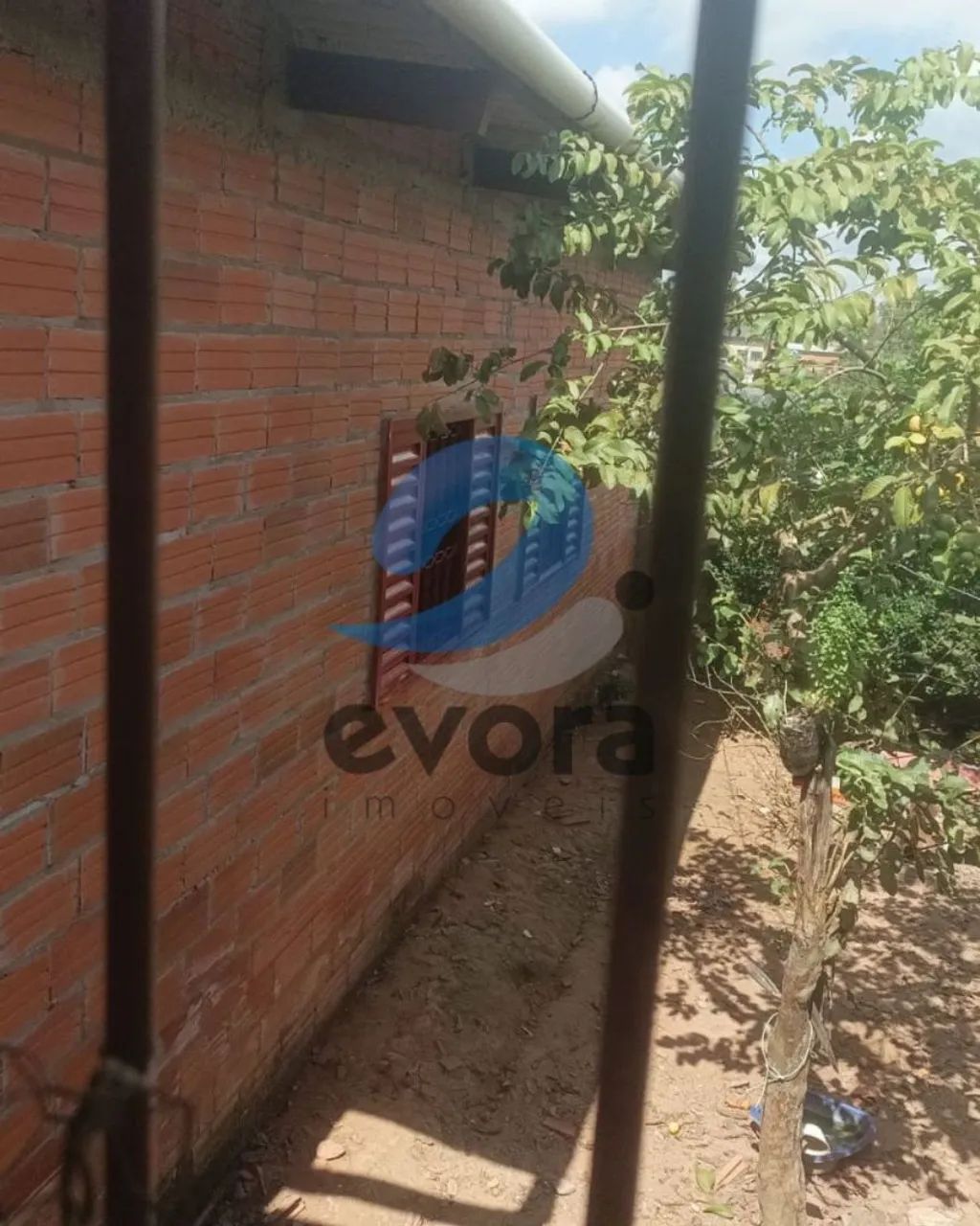 EVORA VENDE  - Foto 3