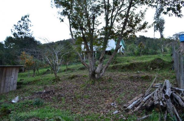 Sítio rural à venda, vale dos pinheiros, gramado. - Foto 2
