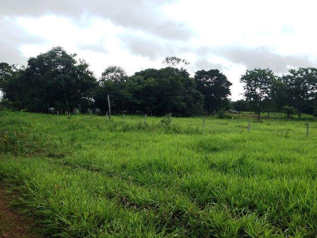 Fazenda 950 ha Rosário Oeste MT - Foto 9