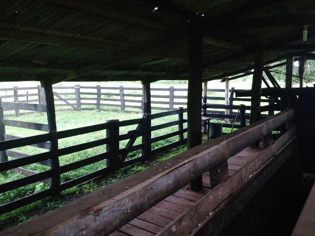 Fazenda 950 ha Rosário Oeste MT - Foto 4