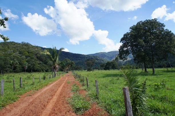 Fazenda 1750 ha N.S. Livramento MT - Foto 3