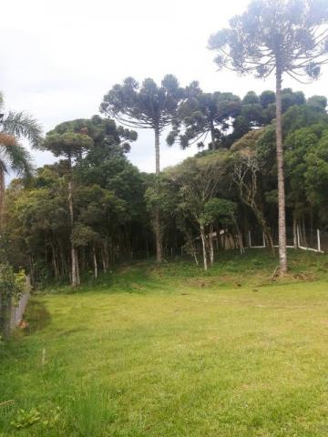 São José dos Pinhais - Chácara c/ 2328m² em condomínio fechado próx. BR 277 - Foto 5