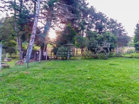 Chácara à venda em Área rural, Mandirituba cod:150401 - Foto 8