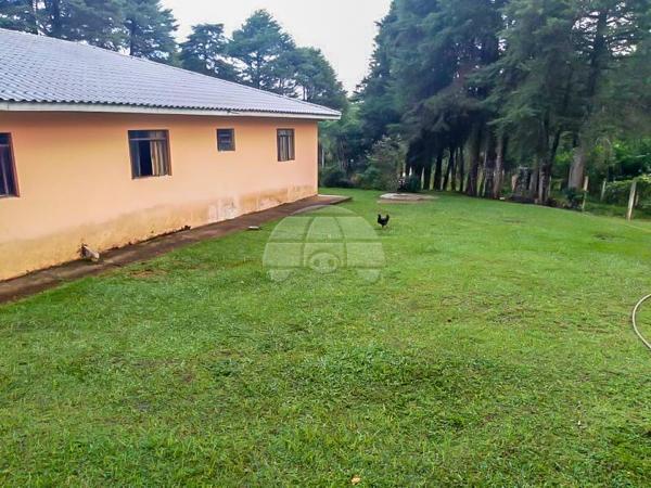 Chácara à venda em Área rural, Mandirituba cod:150401 - Foto 15