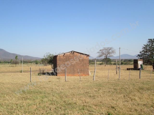 Fazenda com 881 hectares em Corumbá-MS para agricultura e pecuária - Foto 7