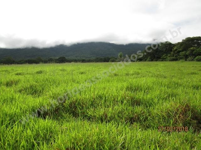 Fazenda com 881 hectares em Corumbá-MS para agricultura e pecuária - Foto 4