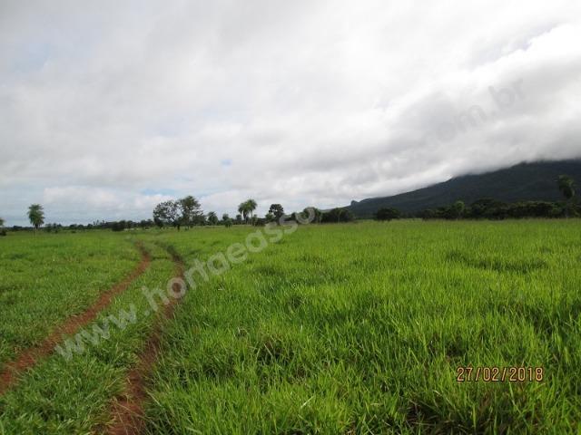 Fazenda com 881 hectares em Corumbá-MS para agricultura e pecuária - Foto 2
