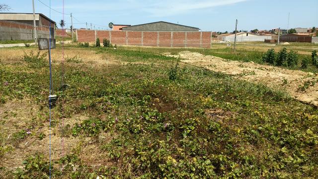 Terreno na Granja Lisboa - Foto 3
