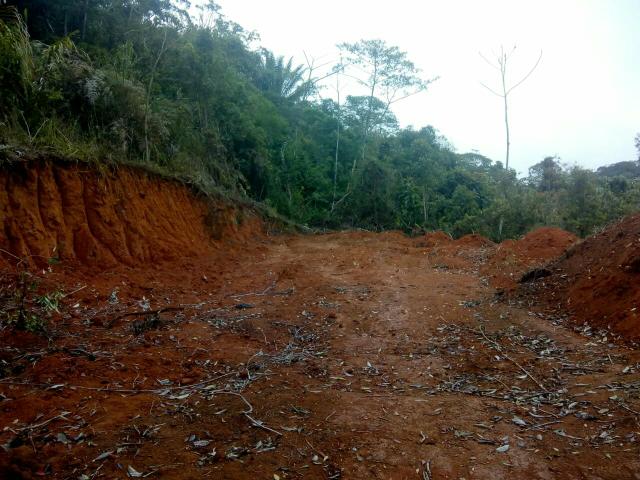 Vendo terreno em Lumiar Nova friburgo.é a sua grande oportunidade de morar na serra - Foto 4