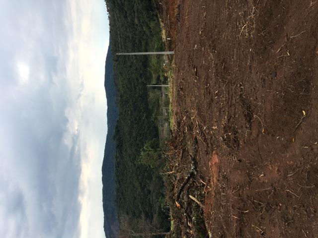 GE Compre agora seu terreno 1000m2 em mariporã para o final do ano - Foto 3