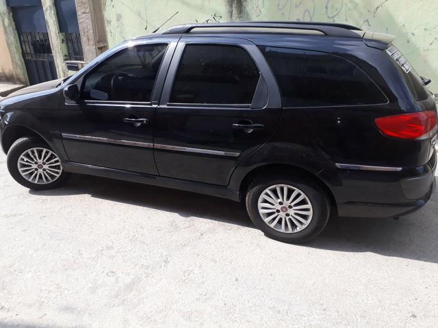 Palio elx