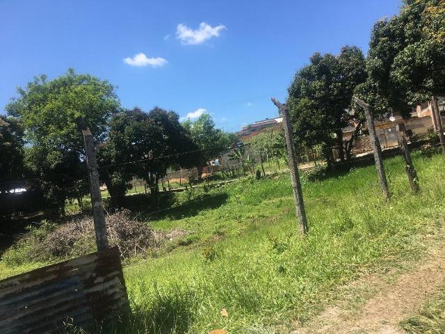 Une Imóveis - Terreno para venda no Bairro Roma - TE26442 - Foto 4