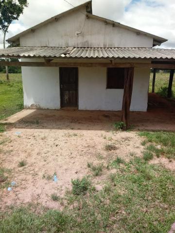 Vendo 60 hectares! - Foto 3