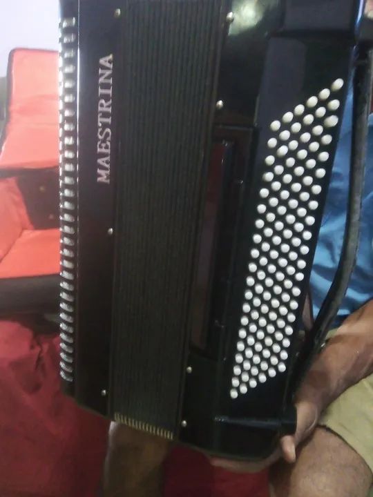 Sanfona Maestrina - Foto 2
