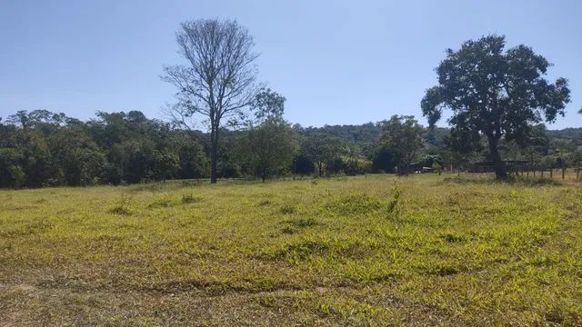CHÁCARA A VENDA  2.000 MTS ANÁPOLIS GO !DIRETO COM PROPRIETÁRIO! - Foto 4