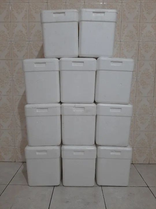 11 Caixas de ISOPOR de 13 litros + 22 Gelo Gel de 500ml, TUDO por R$ 40,00