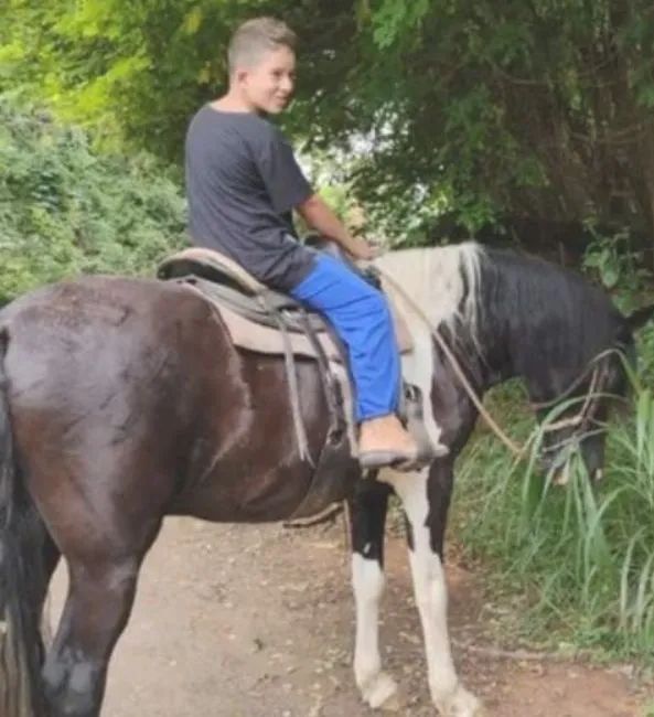 Cavalo Mangalarga pampa de preto  - Foto 4