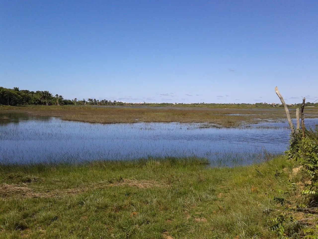 Sítio (litoral norte) 8600/mts2 Arembepe pé Rio - Foto 4