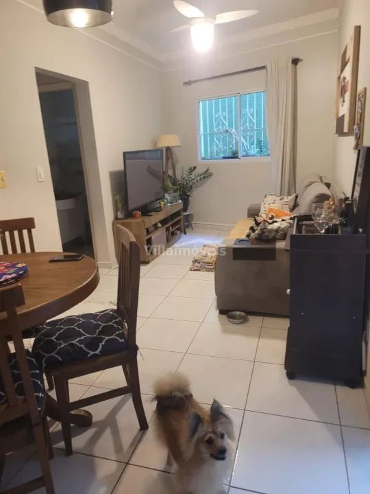 apartamento - Ponte Preta - Campinas - Foto 5