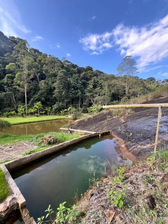 Sítio em Bom Jesus - Domingos Martins | Escriturado e Registrado | 20.000m2 - Foto 4