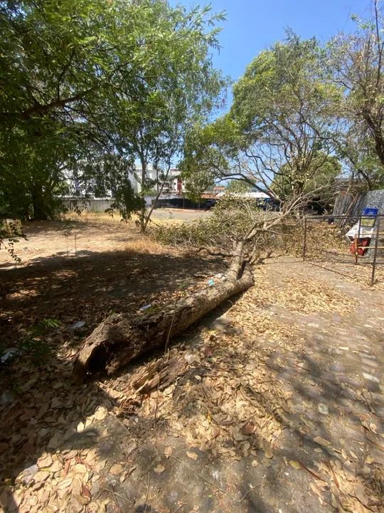 ALUGA-SE Galpão 100m2 com escritório - Foto 5