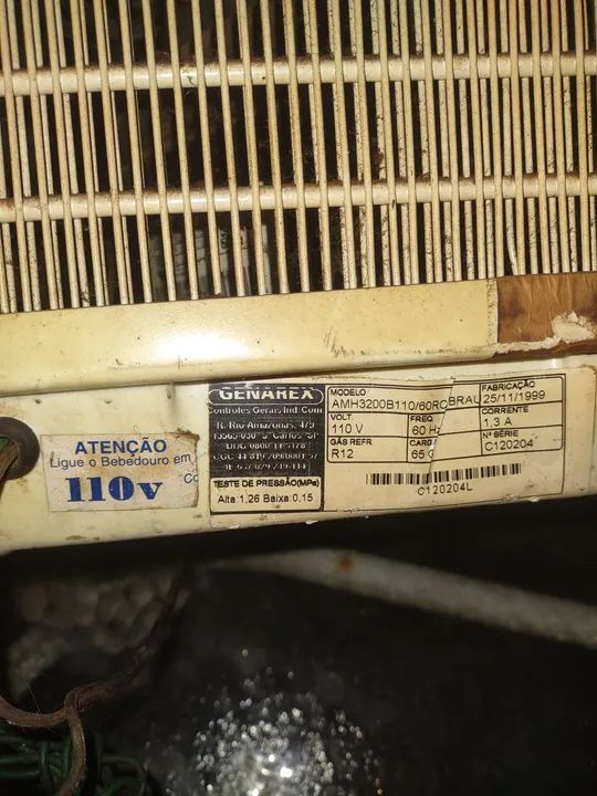 Motor para bebedouro  110V