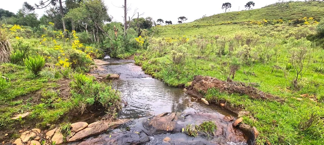 São Joaquim- Serra Catarinense- 15 hectares