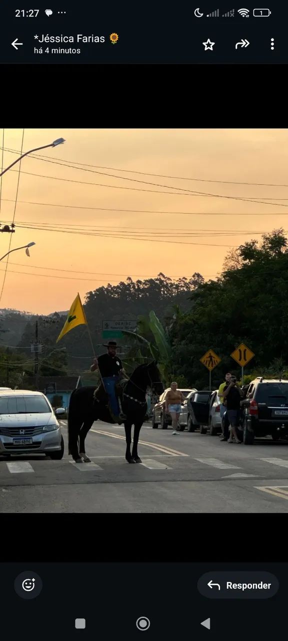 Cavalo criolo marchador maravilhoso  - Foto 5