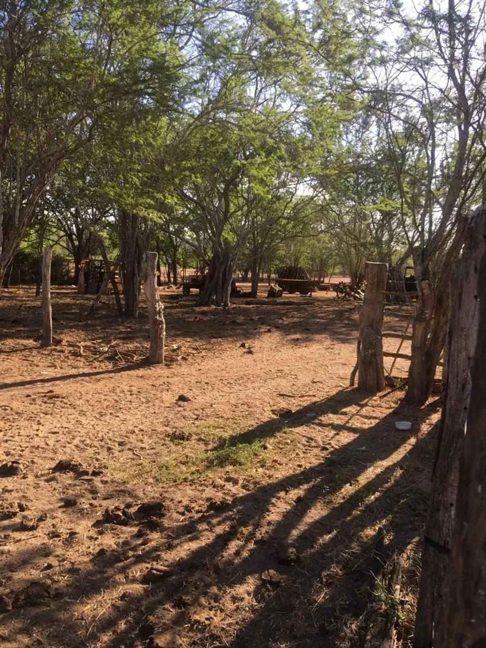 Fazenda 300 hec, BR 232 Passando Dentro, São Caetano, Vendo Desmembrada, Valor p/hec - Foto 9