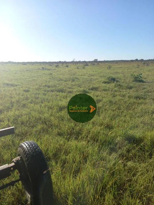 Fazenda à venda, por R$ 12.000.000 - Zona Rural - Cristalândia/TO - Foto 4