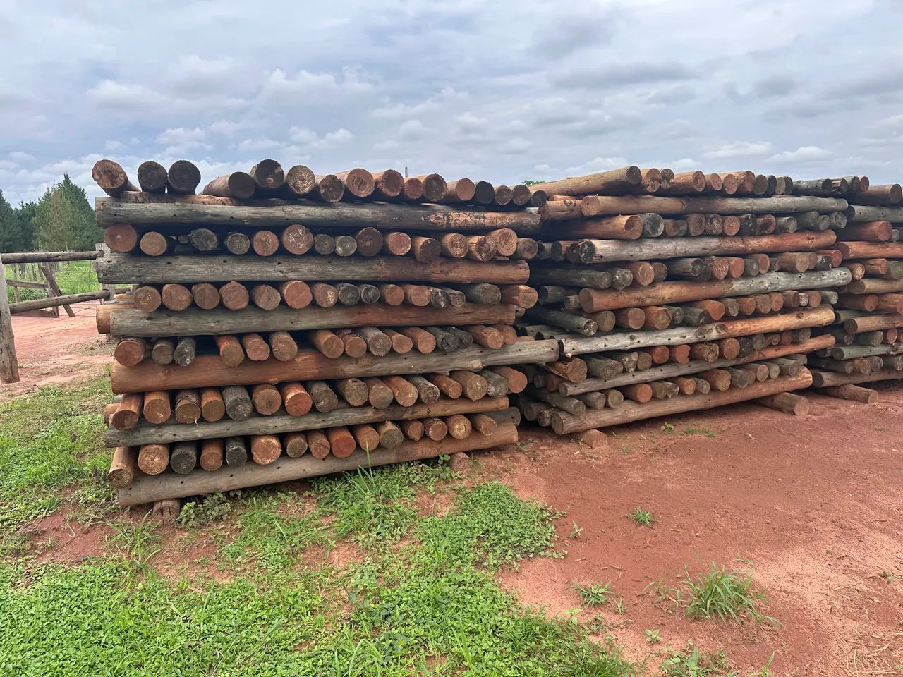 Poste pinus para cerca  - Foto 2